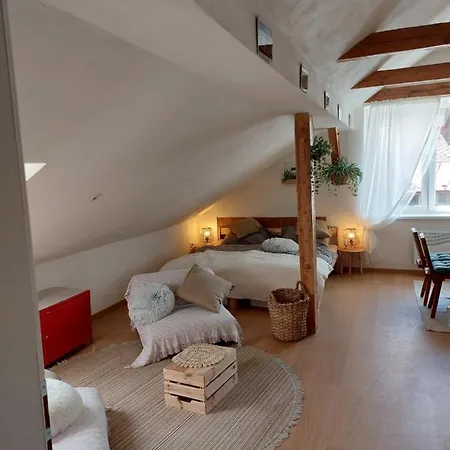 Apartman Mourek Hartmanice  Exterior photo