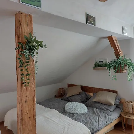 Apartman Mourek Hartmanice  Exterior photo