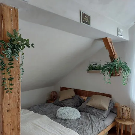 Apartman Mourek Hartmanice  Exterior photo