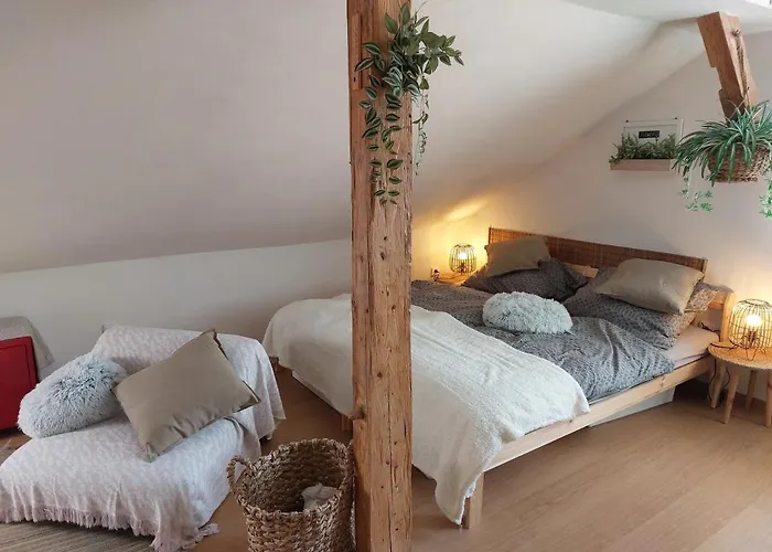 Apartman Mourek