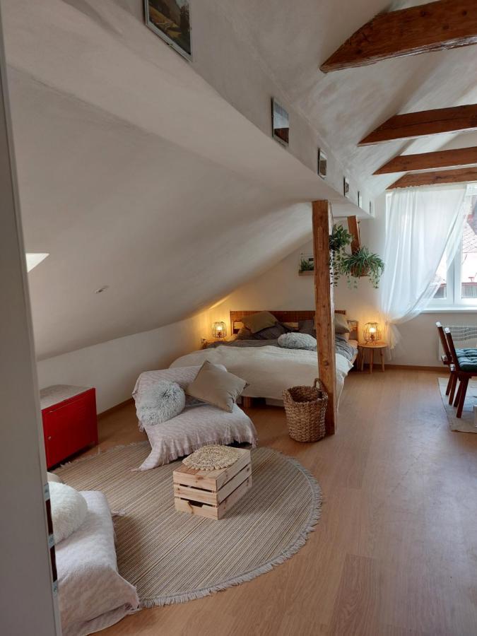 Apartment Mourek Hartmanice (Pilsen)