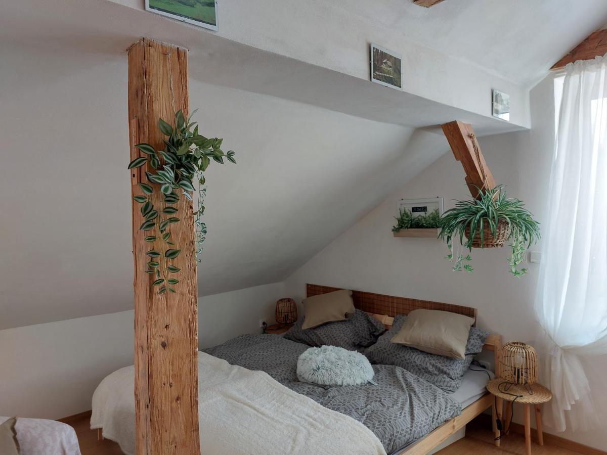 Apartment Mourek *