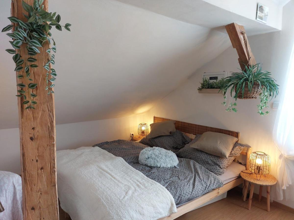 Apartment Mourek Hartmanice (Pilsen)