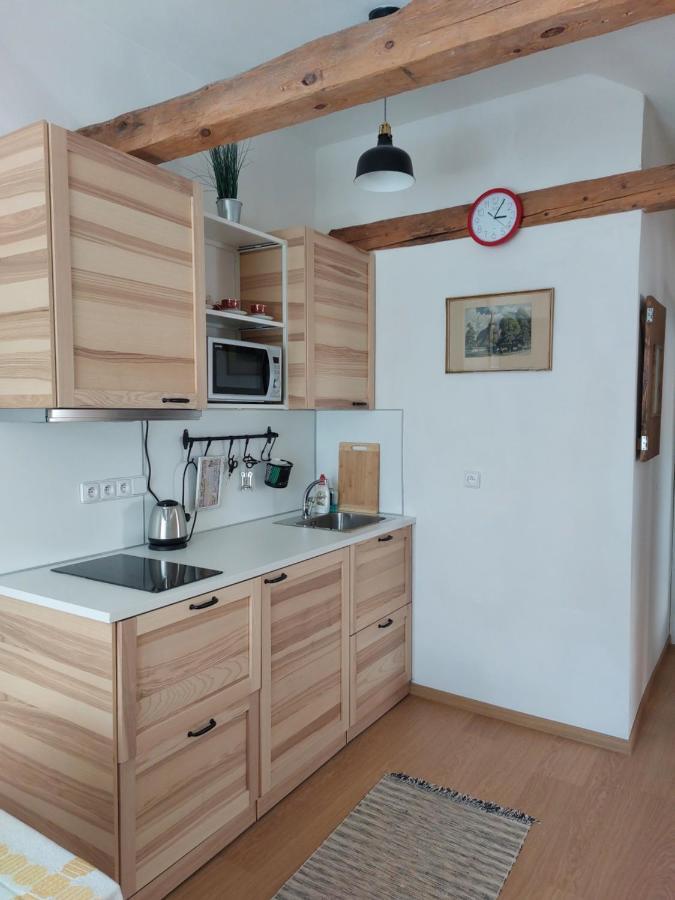 Mourek Apartment Hartmanice (Pilsen)